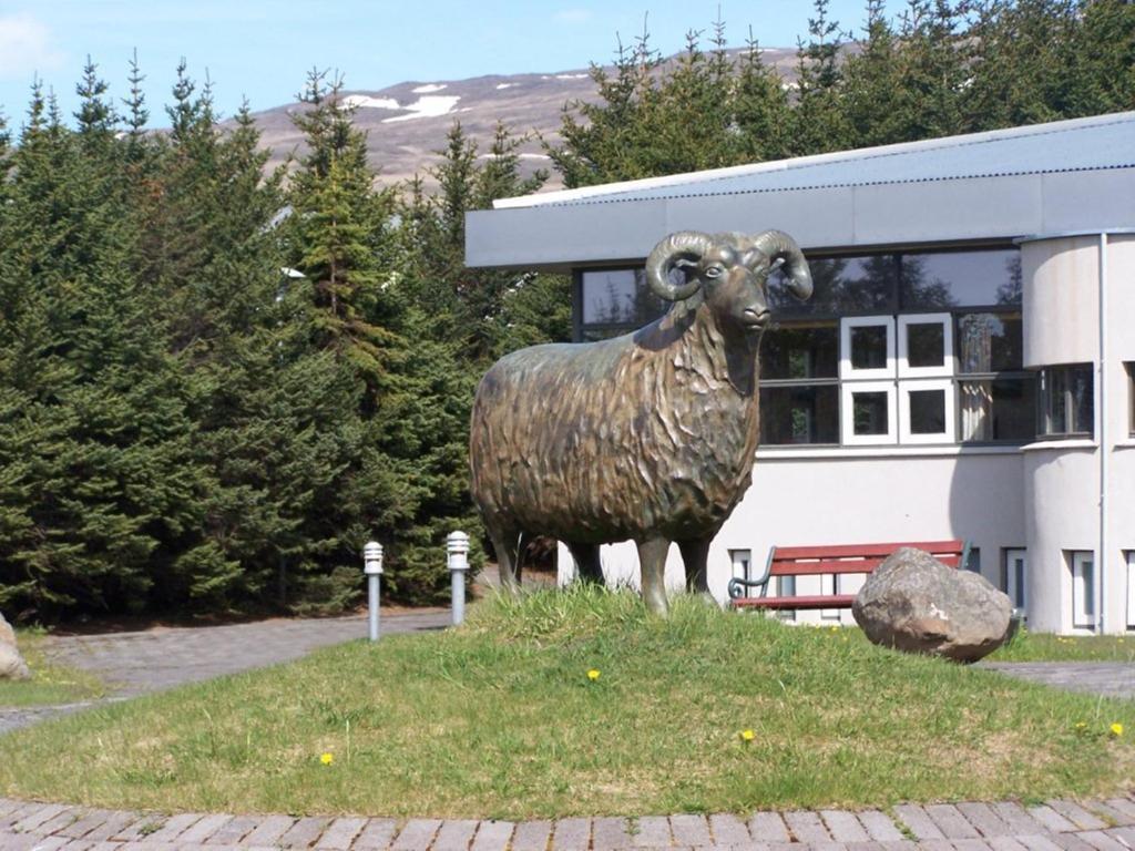 Albert Guesthouse Hvammstangi Eksteriør bilde